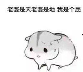 老婆最美了表情包