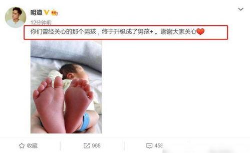 男明星下面硬了照片