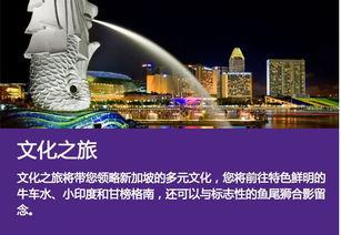 新加坡24小时娱乐,全天候精彩活动大盘点