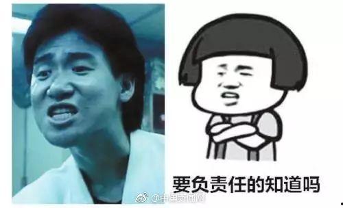 看综艺表情包,笑点满满！综艺表情包带你重温欢乐时光