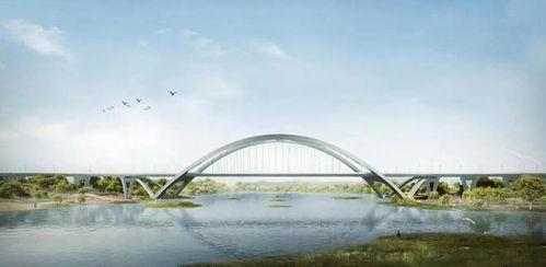 网红的桥,揭秘网络红人的崛起之路